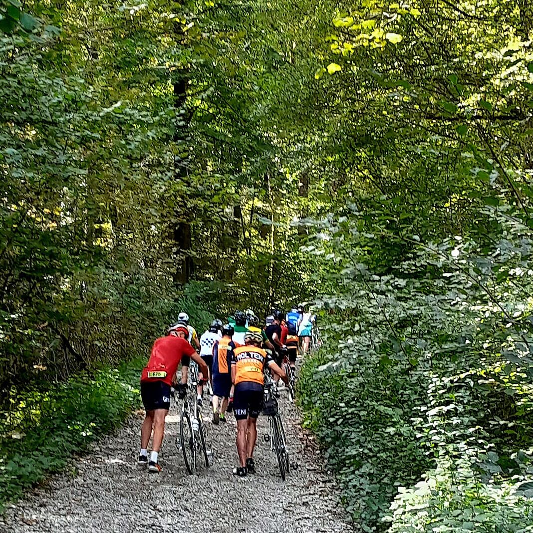 Tourenteilnehmende von Würmtal-Stahl 2025 beim Schieben ihrer Rennräder an einem Steigung auf einem Schotterweg im Wald