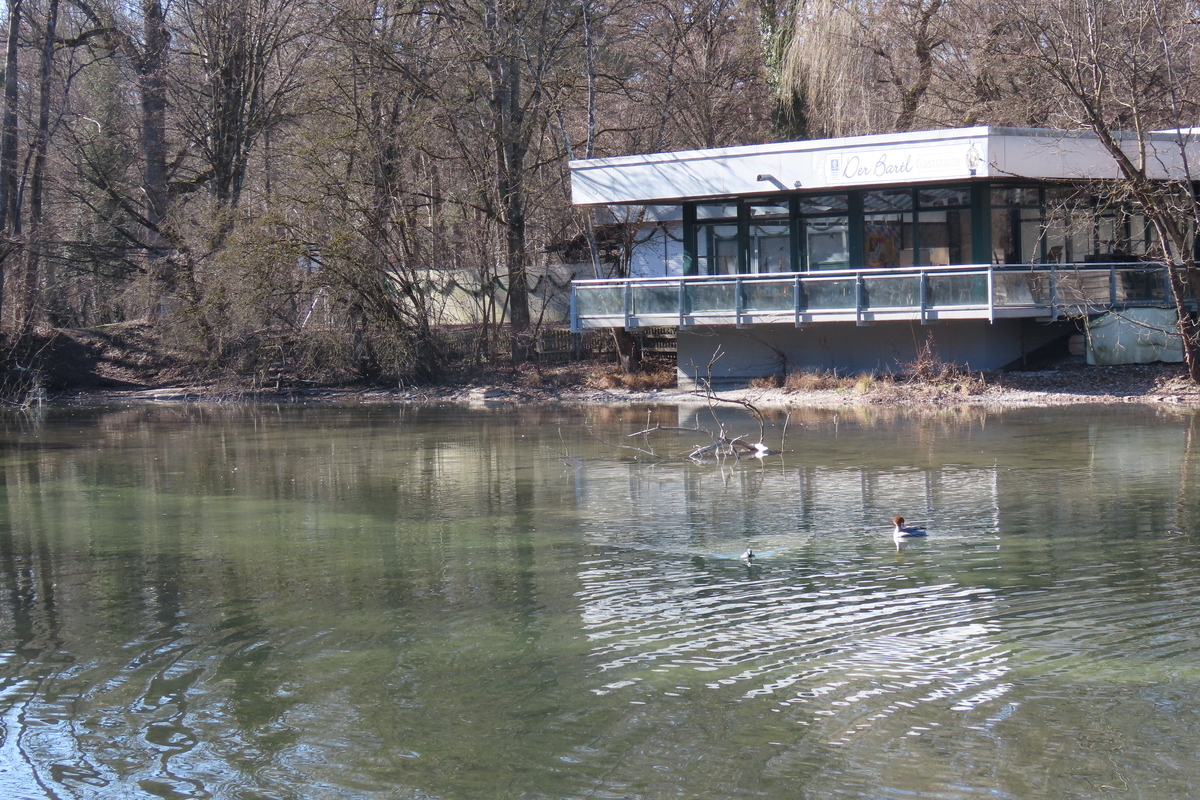 Bild 5 Floßlände