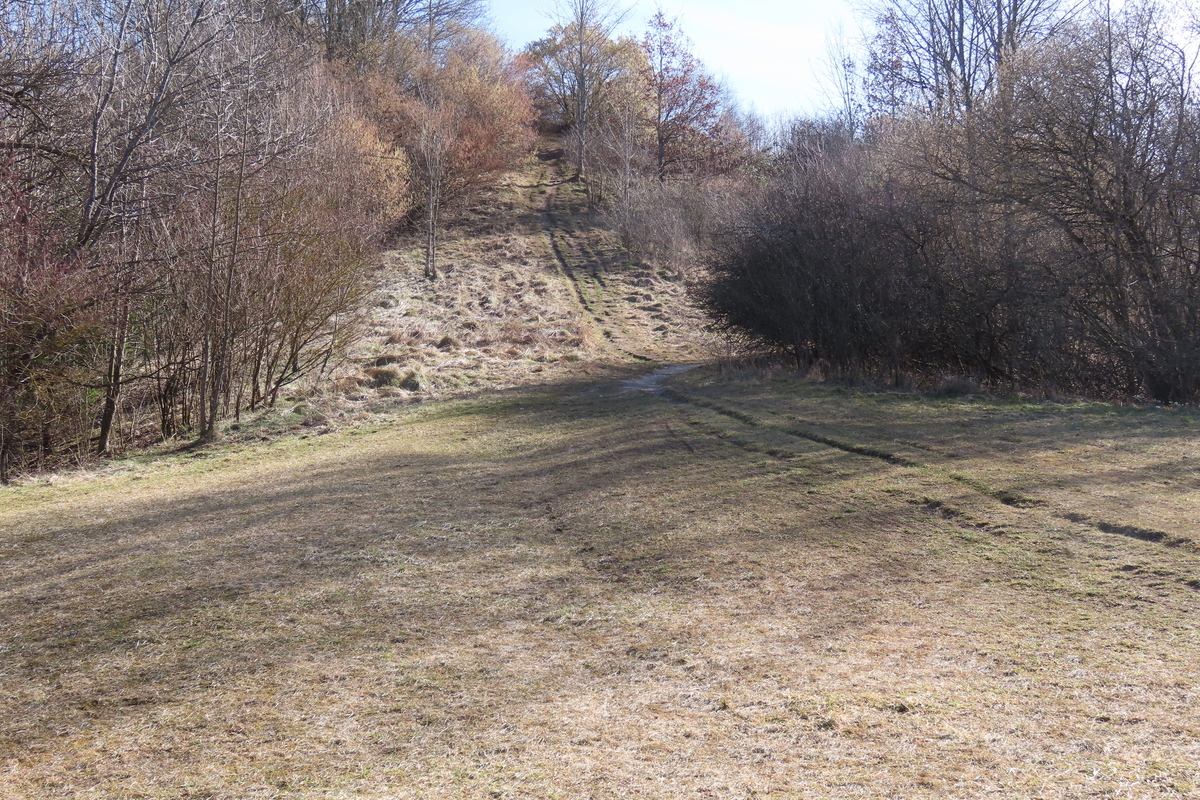 Bild 6 Perlacher Muggl